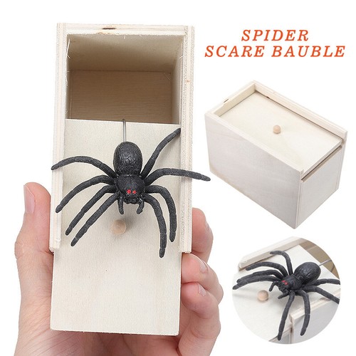 Lustige holzkiste spinne - lustige,