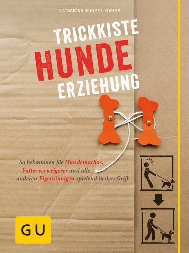 Trickkiste hundeerziehung gelb - hundeerziehung,