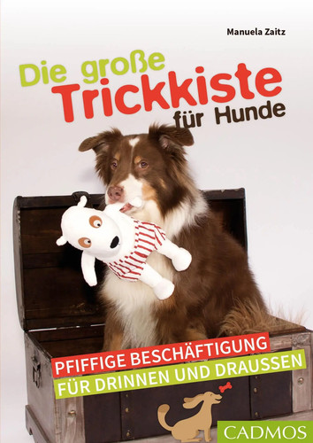 Die große trickkiste - große,